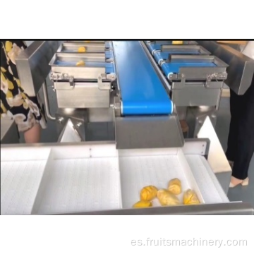 Frutas y verduras que pesan y envasan la máquina de envases